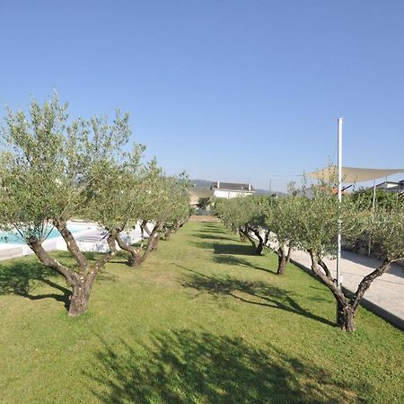 Olival Da Seara Villa Marco de Canaveses Exterior photo